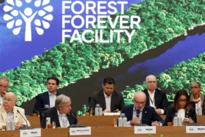 Mais de US$ 5,5 Bilhões Anunciados Lançamento do Fundo Florestas Tropicais para Sempre (TFFF) Marca Novo Capítulo na COP 30 – Bruno Peres-Agência Brasil